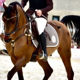 PONY DE SALTO