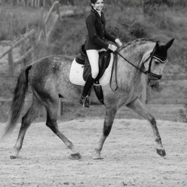 Diseño sin título_20260111_135939_0000