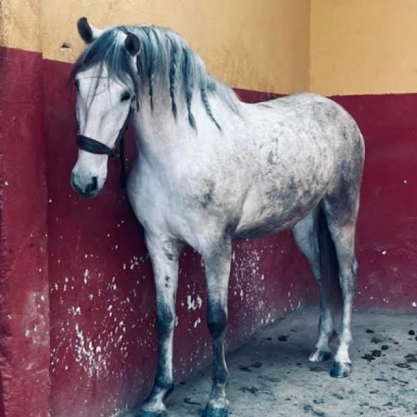 Screenshot 2026-01-09 08.25.25