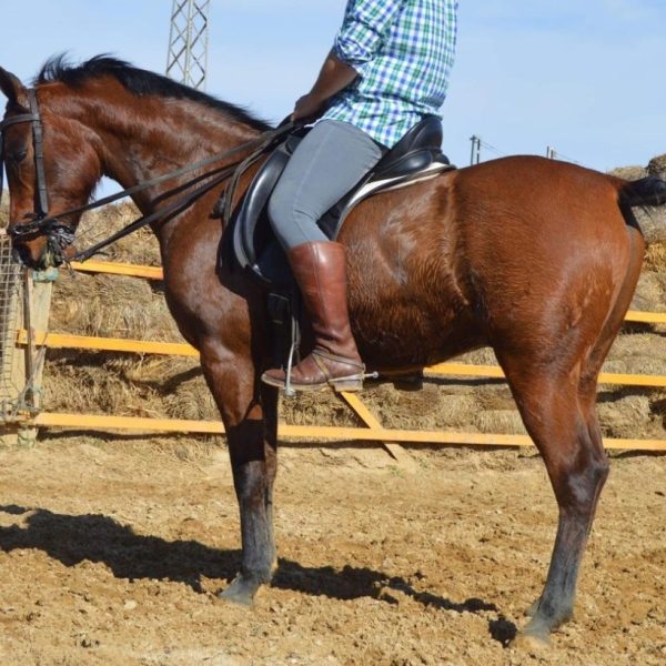 Screenshot_20250320_211455_WhatsApp