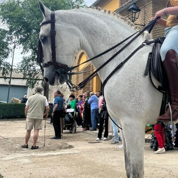 Screenshot_20250325_063017_WhatsApp