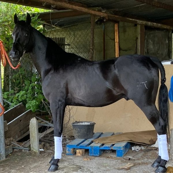 Screenshot_20250327_062538_WhatsApp