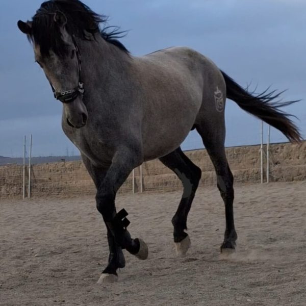 Screenshot_20250410_070436_WhatsApp