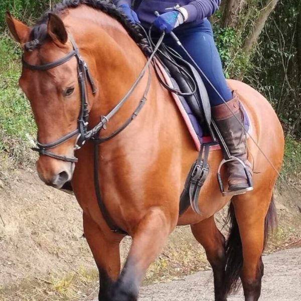 Screenshot_20250421_174233_WhatsApp