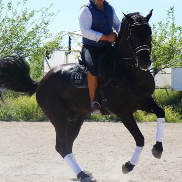 PERALTA ALTA ESCUELA