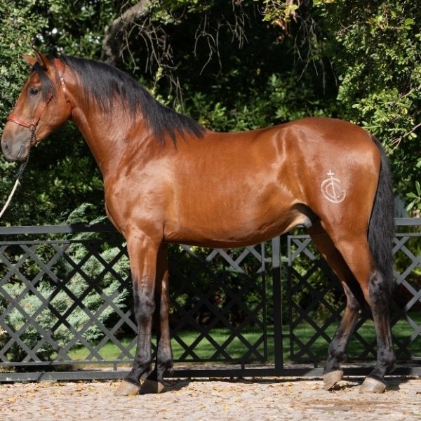 Screenshot_20250930_062239_WhatsApp