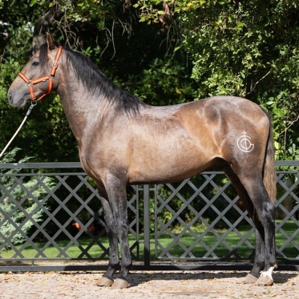 Screenshot_20250930_062433_WhatsApp