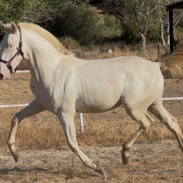 Screenshot_20250930_063800_WhatsApp