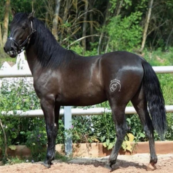 Screenshot_20250930_064107_WhatsApp