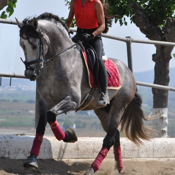 Screenshot_20251029_172238_WhatsApp