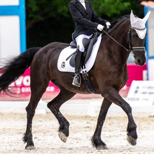 Screenshot_20251110_215821_WhatsApp