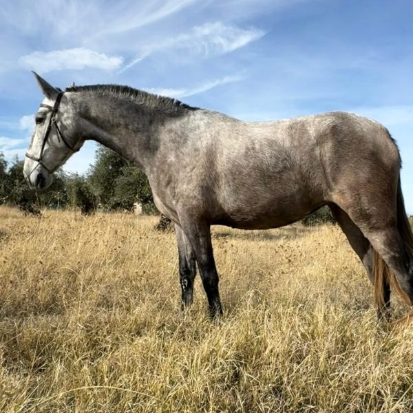 Screenshot_20251111_065759_WhatsApp