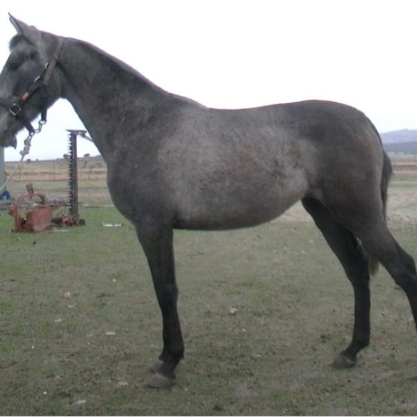 Screenshot_20251111_070539_WhatsApp