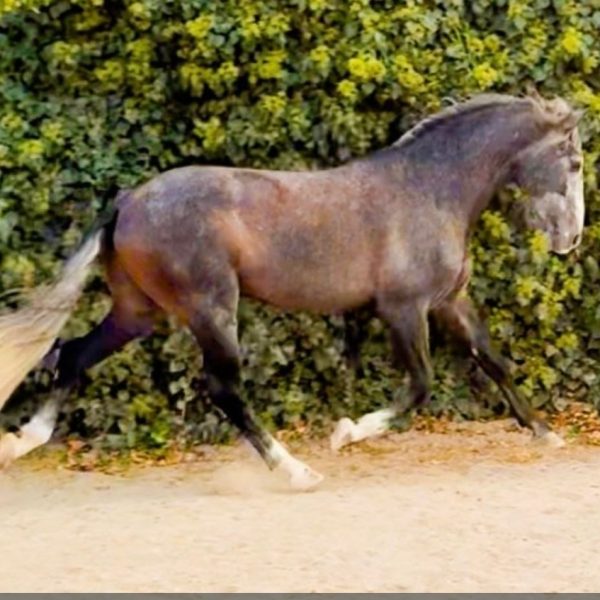 Screenshot_20251111_070636_WhatsApp