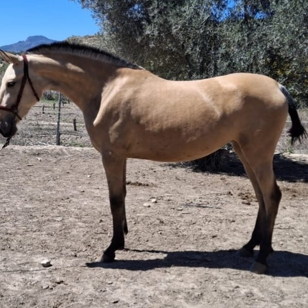 Screenshot_20251111_071222_WhatsApp