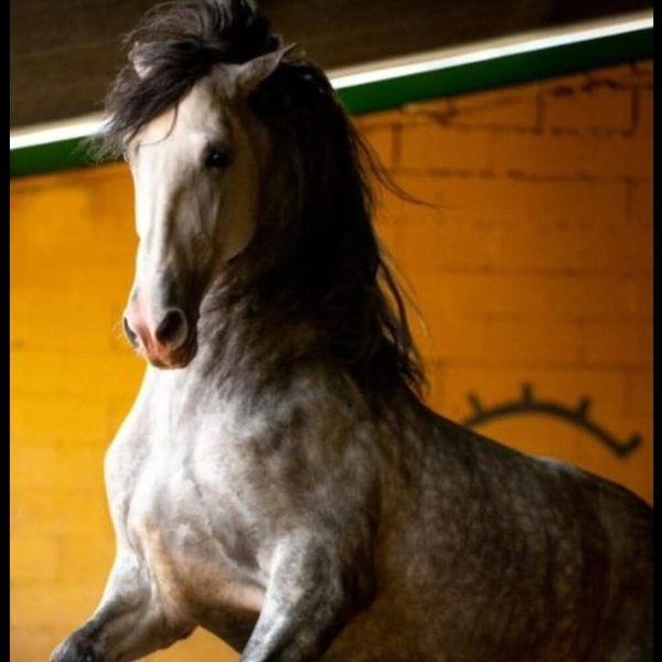 Screenshot_20251113_181001_WhatsApp