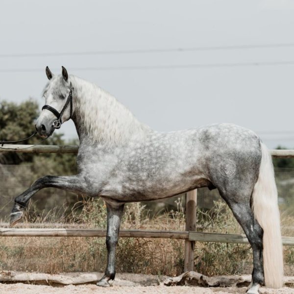 Screenshot_20251113_183808_WhatsApp