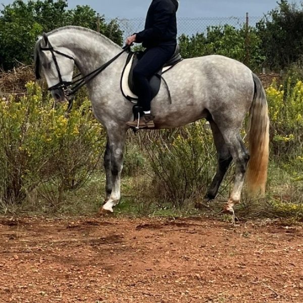 Screenshot_20251113_185258_WhatsApp