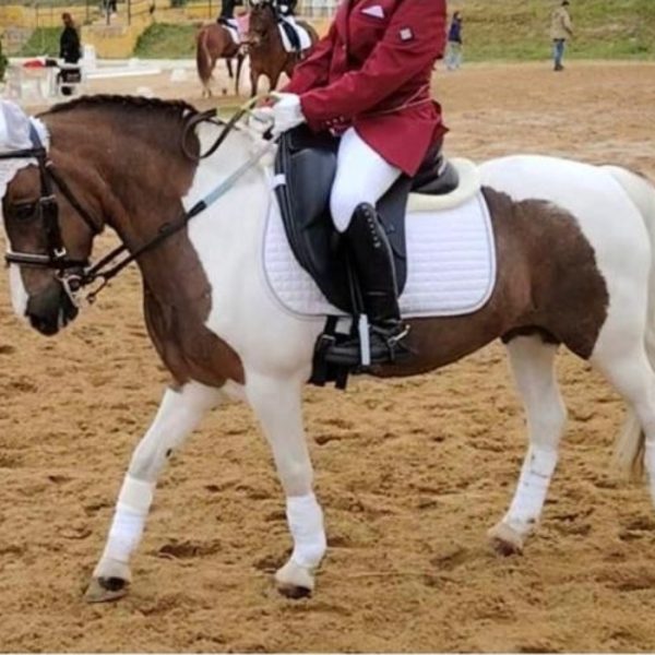 Screenshot_20251113_212532_WhatsApp