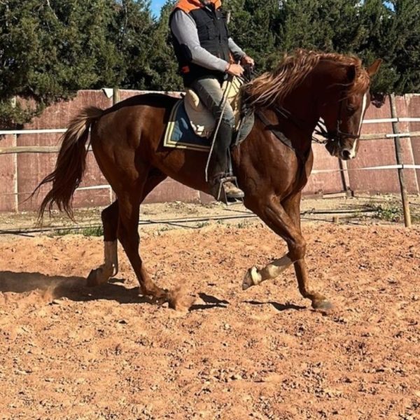 Screenshot_20251113_212904_WhatsApp