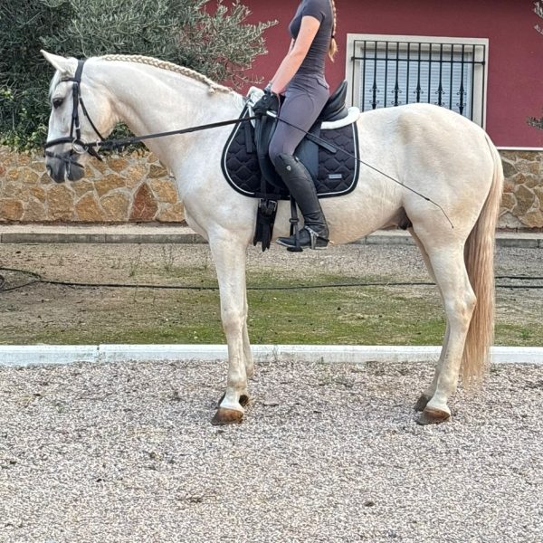 Screenshot_20251116_174153_WhatsApp