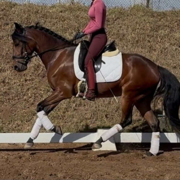 Screenshot_20251116_181038_WhatsApp