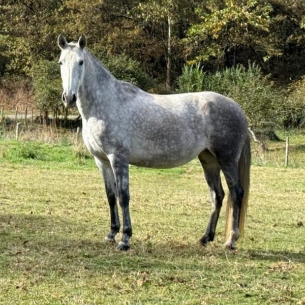 Screenshot_20251116_203627_WhatsApp