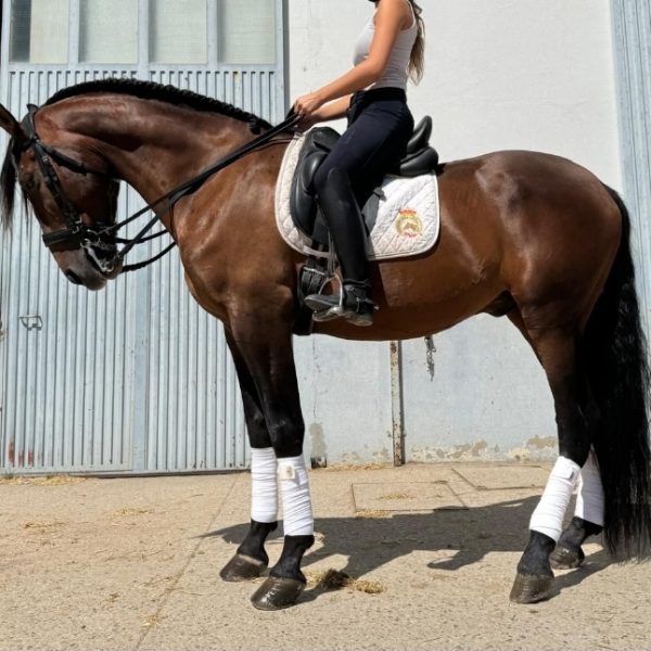 Screenshot_20251117_163610_WhatsApp