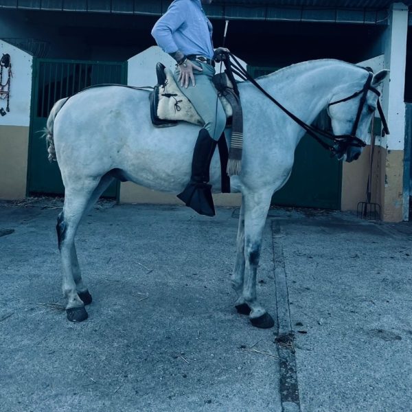 Screenshot_20251118_184302_WhatsApp