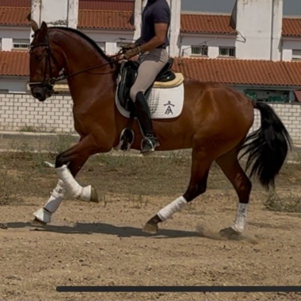 Screenshot_20251119_194819_WhatsApp