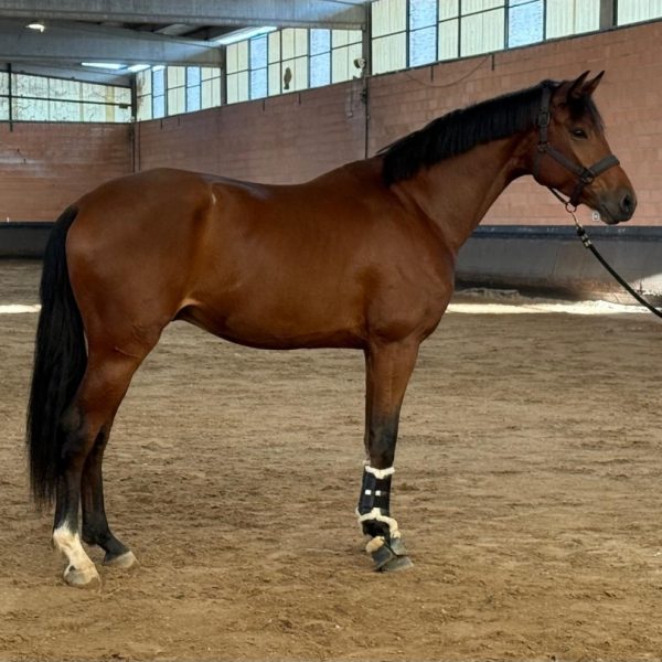 Screenshot_20251120_215226_WhatsApp