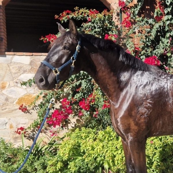 Screenshot_20251122_171557_WhatsApp