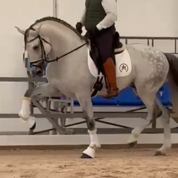 Screenshot_20251123_223229_WhatsApp