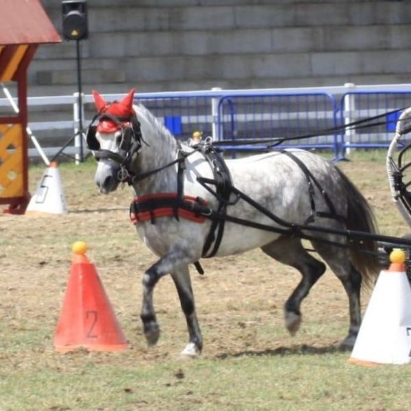 Screenshot_20251124_213420_WhatsApp