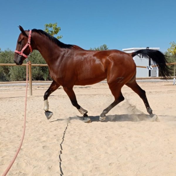 Screenshot_20251128_180212_WhatsApp