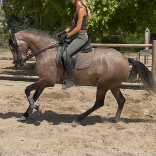 Screenshot_20251129_103830_WhatsApp