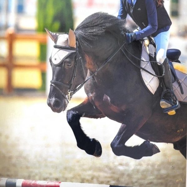 Screenshot_20251129_105029_WhatsApp