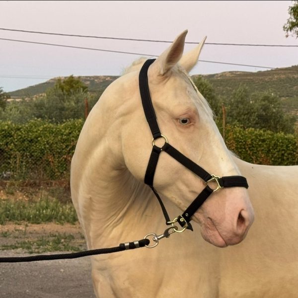 Screenshot_20251129_140415_WhatsApp