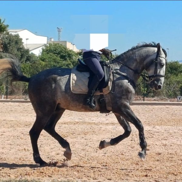 Screenshot_20251201_221706_WhatsApp