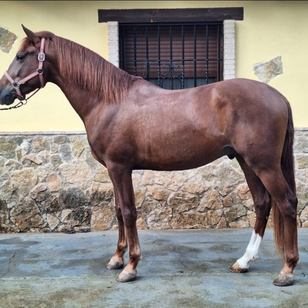 Screenshot_20251203_142557_WhatsApp