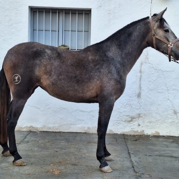 Screenshot_20251203_145239_WhatsApp