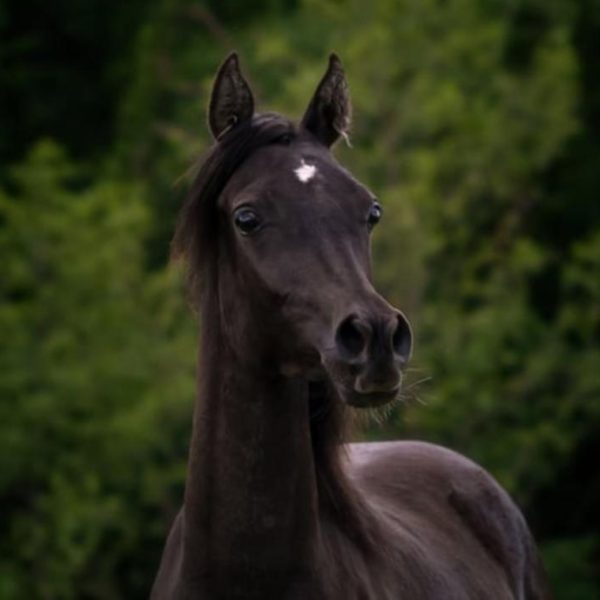 Screenshot_20251208_162301_WhatsApp