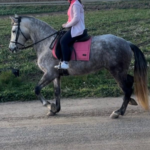 Screenshot_20251209_063419_Gallery