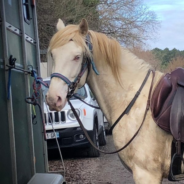 Screenshot_20251209_211456_WhatsApp