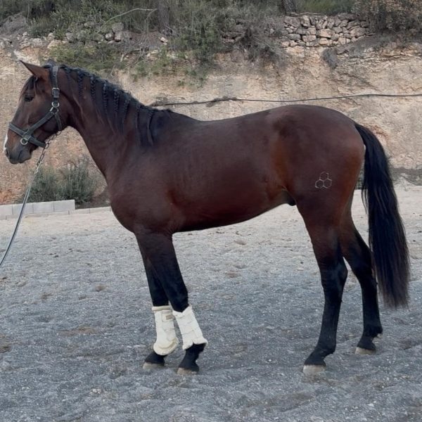 Screenshot_20251209_212631_WhatsApp