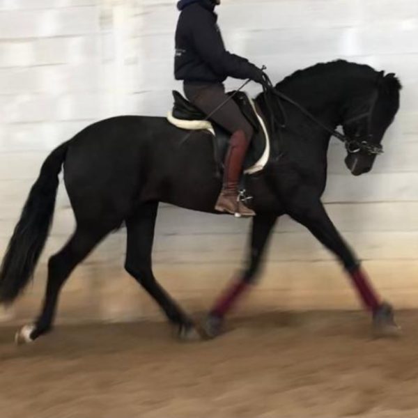 Screenshot_20251209_215336_WhatsApp