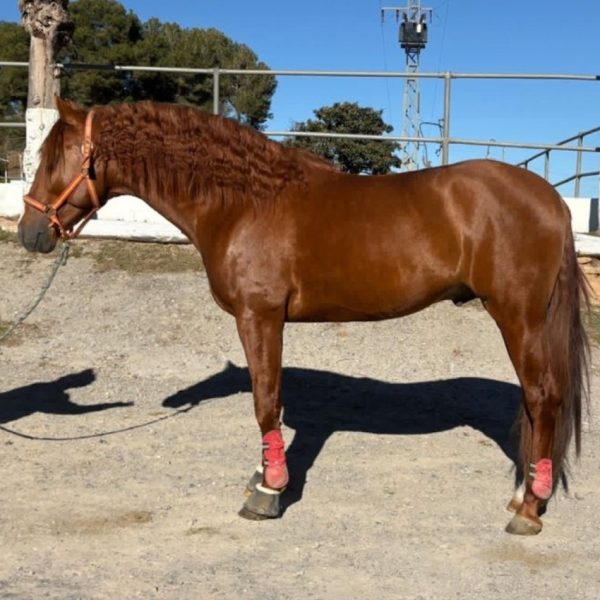 Screenshot_20251215_173401_WhatsApp