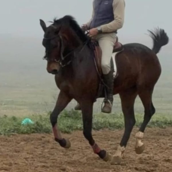 Screenshot_20251215_185043_WhatsApp