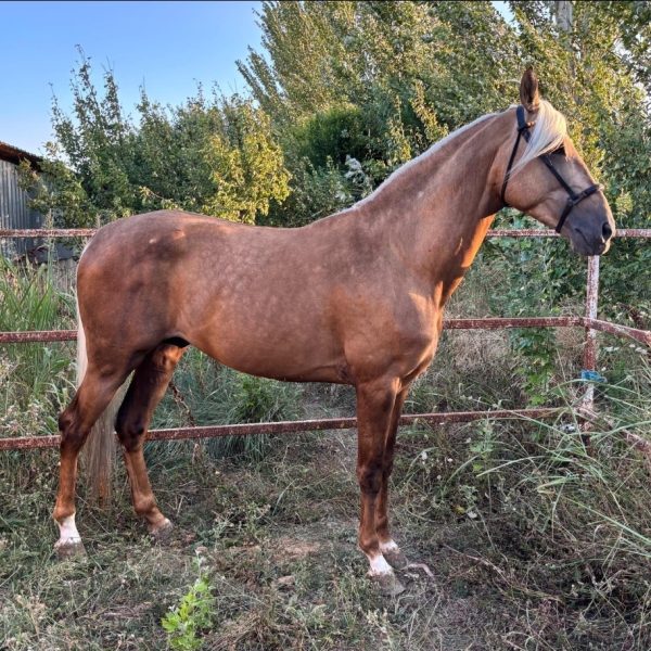 Screenshot_20251216_212014_WhatsApp