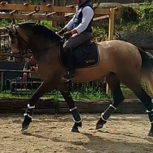 Screenshot_20251225_233621_WhatsApp